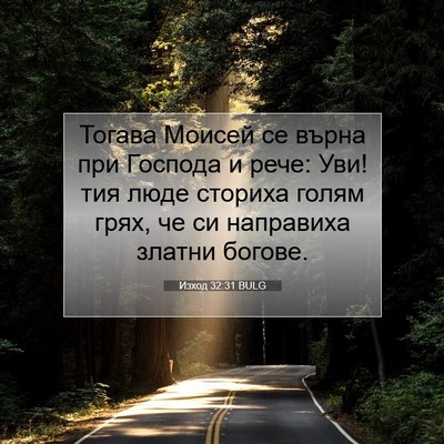 Picture 07 - Изход 32:31 BULG - Тогава Моисей се върна при - Bible Verse Picture