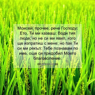 Picture 07 - Изход 33:12 BULG - Моисей, прочее, рече - Bible Verse Picture