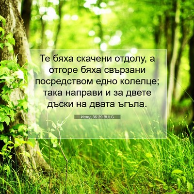 Picture 07 - Изход 36:29 BULG - Те бяха скачени отдолу, а - Bible Verse Picture