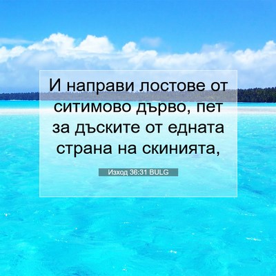 Picture 07 - Изход 36:31 BULG - И направи лостове от - Bible Verse Picture
