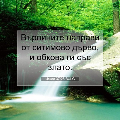 Picture 07 - Изход 37:28 BULG - Върлините направи от - Bible Verse Picture