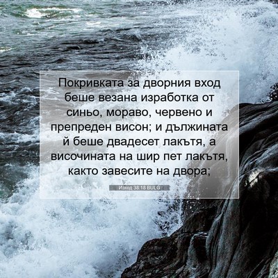 Picture 07 - Изход 38:18 BULG - Покривката за дворния вход - Bible Verse Picture