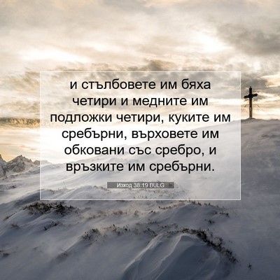 Picture 07 - Изход 38:19 BULG - и стълбовете им бяха - Bible Verse Picture