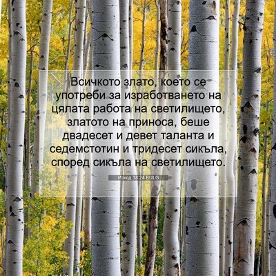 Picture 07 - Изход 38:24 BULG - Всичкото злато, което се - Bible Verse Picture