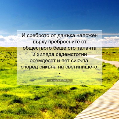 Picture 07 - Изход 38:25 BULG - И среброто от данъка - Bible Verse Picture
