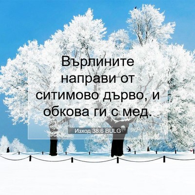 Picture 07 - Изход 38:6 BULG - Върлините направи от - Bible Verse Picture