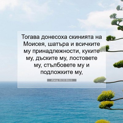 Picture 07 - Изход 39:33 BULG - Тогава донесоха скинията - Bible Verse Picture