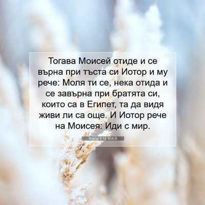 Picture 07 - Изход 4:18 BULG - Тогава Моисей отиде и се - Bible Verse Picture
