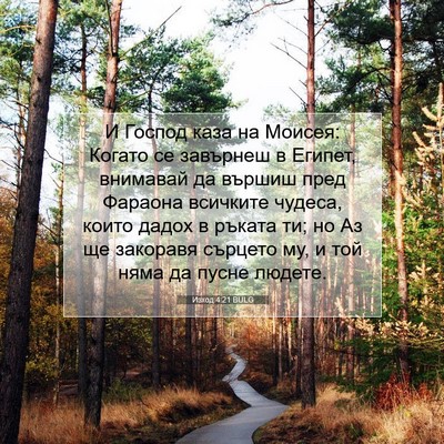Picture 07 - Изход 4:21 BULG - И Господ каза на Моисея: - Bible Verse Picture