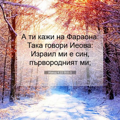 Picture 07 - Изход 4:22 BULG - А ти кажи на Фараона: Така - Bible Verse Picture