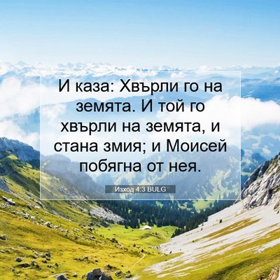 Picture 07 - Изход 4:3 BULG - И каза: Хвърли го на земята. - Bible Verse Picture