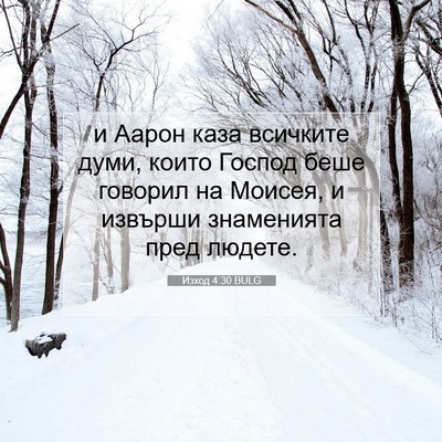 Picture 07 - Изход 4:30 BULG - и Аарон каза всичките думи, - Bible Verse Picture