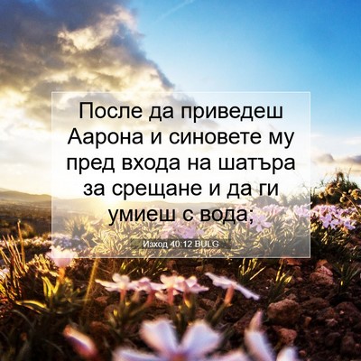 Picture 07 - Изход 40:12 BULG - После да приведеш Аарона и - Bible Verse Picture