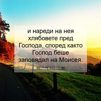 Picture 07 - Изход 40:23 BULG - и нареди на нея хлябовете - Bible Verse Picture