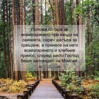 Picture 07 - Изход 40:29 BULG - Положи олтара за - Bible Verse Picture