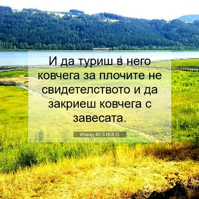 Picture 07 - Изход 40:3 BULG - И да туриш в него ковчега - Bible Verse Picture