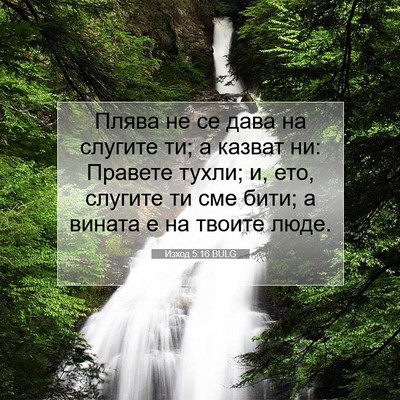 Picture 07 - Изход 5:16 BULG - Плява не се дава на слугите - Bible Verse Picture