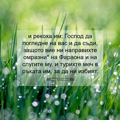 Picture 07 - Изход 5:21 BULG - и рекоха им: Господ да - Bible Verse Picture