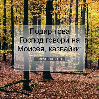 Picture 07 - Изход 6:10 BULG - Подир това Господ говори - Bible Verse Picture