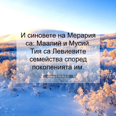 Picture 07 - Изход 6:19 BULG - И синовете на Мерария са: - Bible Verse Picture