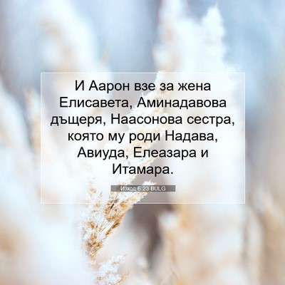 Picture 07 - Изход 6:23 BULG - И Аарон взе за жена - Bible Verse Picture
