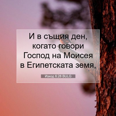 Picture 07 - Изход 6:28 BULG - И в същия ден, когато - Bible Verse Picture