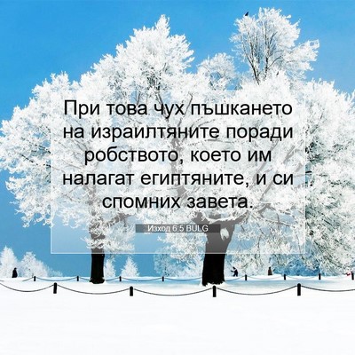Picture 07 - Изход 6:5 BULG - При това чух пъшкането на - Bible Verse Picture