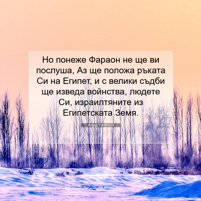Picture 07 - Изход 7:4 BULG - Но понеже Фараон не ще ви - Bible Verse Picture
