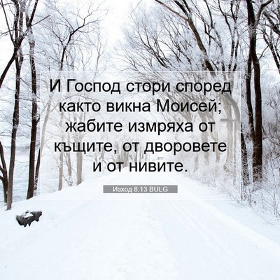 Picture 07 - Изход 8:13 BULG - И Господ стори според - Bible Verse Picture