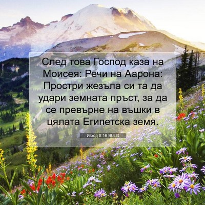 Picture 07 - Изход 8:16 BULG - След това Господ каза на - Bible Verse Picture