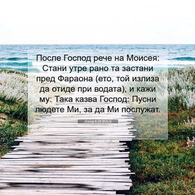 Picture 07 - Изход 8:20 BULG - После Господ рече на - Bible Verse Picture