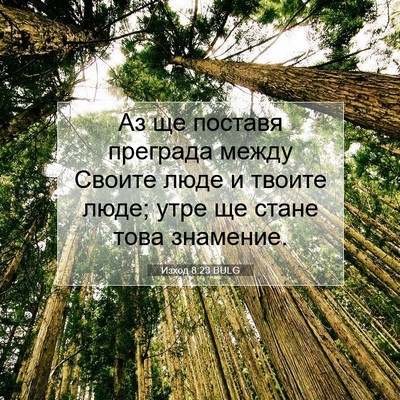 Picture 07 - Изход 8:23 BULG - Аз ще поставя преграда - Bible Verse Picture