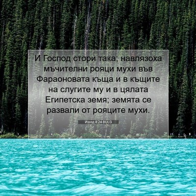 Picture 07 - Изход 8:24 BULG - И Господ стори така; - Bible Verse Picture
