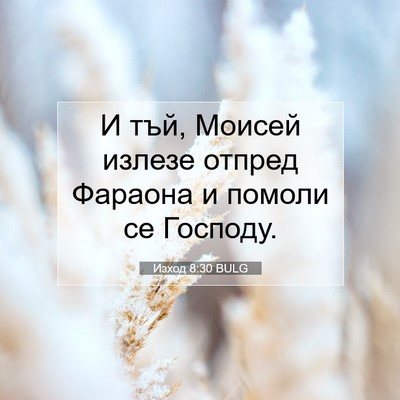 Picture 07 - Изход 8:30 BULG - И тъй, Моисей излезе отпред - Bible Verse Picture