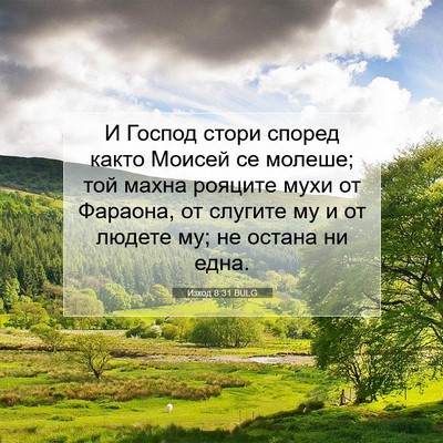 Picture 07 - Изход 8:31 BULG - И Господ стори според - Bible Verse Picture