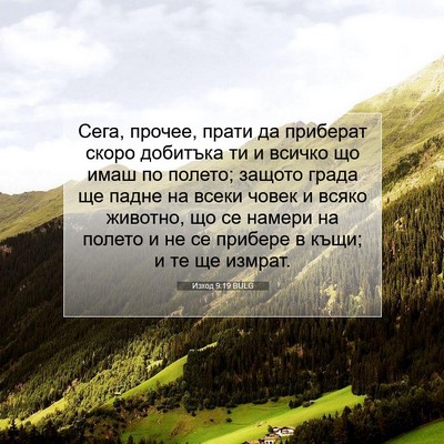 Picture 07 - Изход 9:19 BULG - Сега, прочее, прати да - Bible Verse Picture
