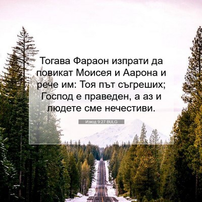 Picture 07 - Изход 9:27 BULG - Тогава Фараон изпрати да - Bible Verse Picture