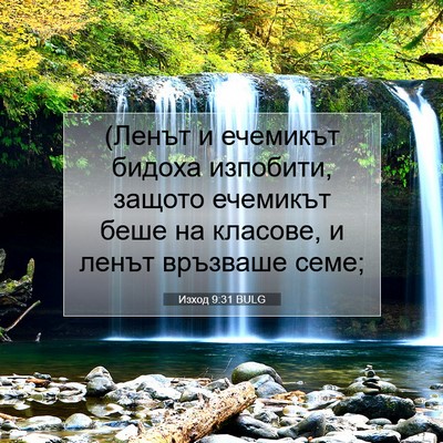 Picture 07 - Изход 9:31 BULG - (Ленът и ечемикът бидоха - Bible Verse Picture