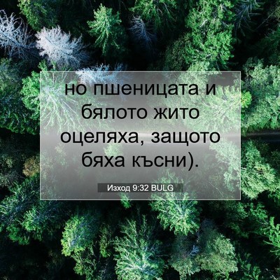 Picture 07 - Изход 9:32 BULG - но пшеницата и бялото жито - Bible Verse Picture