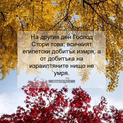 Picture 07 - Изход 9:6 BULG - На другия ден Господ Стори - Bible Verse Picture