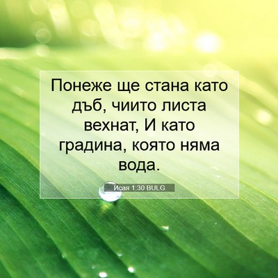 Picture 07 - Исая 1:30 BULG - Понеже ще стана като дъб, - Bible Verse Picture