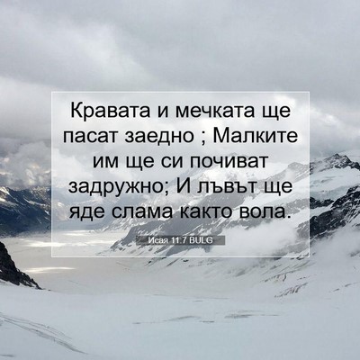 Picture 07 - Исая 11:7 BULG - Кравата и мечката ще пасат - Bible Verse Picture