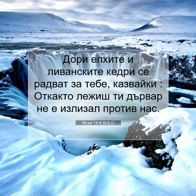 Picture 07 - Исая 14:8 BULG - Дори елхите и ливанските - Bible Verse Picture