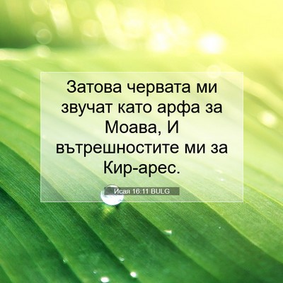 Picture 07 - Исая 16:11 BULG - Затова червата ми звучат - Bible Verse Picture
