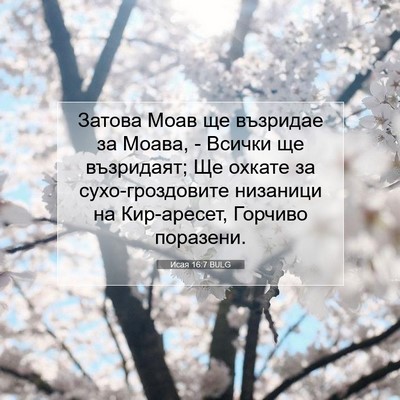 Picture 07 - Исая 16:7 BULG - Затова Моав ще възридае за - Bible Verse Picture