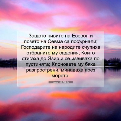 Picture 07 - Исая 16:8 BULG - Защото нивите на Есевон и - Bible Verse Picture