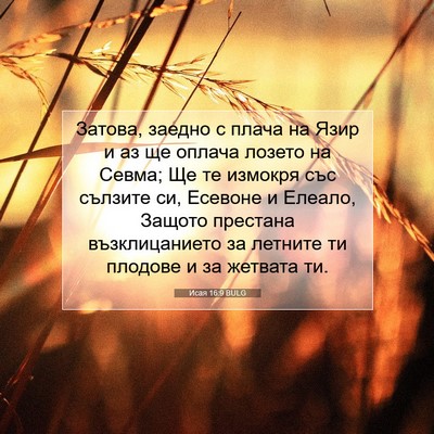 Picture 07 - Исая 16:9 BULG - Затова, заедно с плача на - Bible Verse Picture
