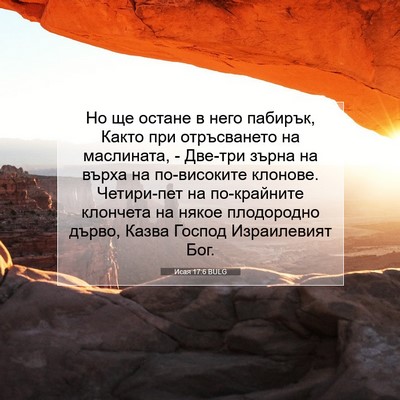 Picture 07 - Исая 17:6 BULG - Но ще остане в него - Bible Verse Picture
