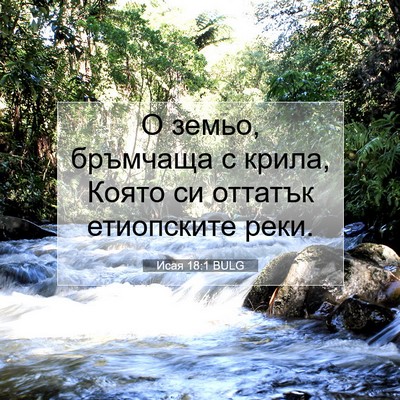 Picture 07 - Исая 18:1 BULG - О земьо, бръмчаща с крила, - Bible Verse Picture