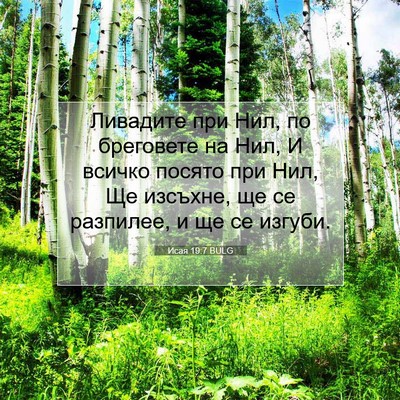 Picture 07 - Исая 19:7 BULG - Ливадите при Нил, по - Bible Verse Picture